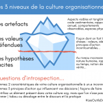 Outil : 3 niveaux de la culture organisationnelle